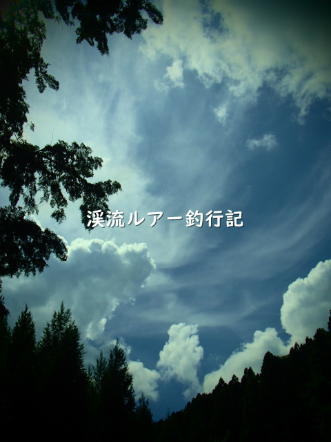 P9100005 (2).jpg