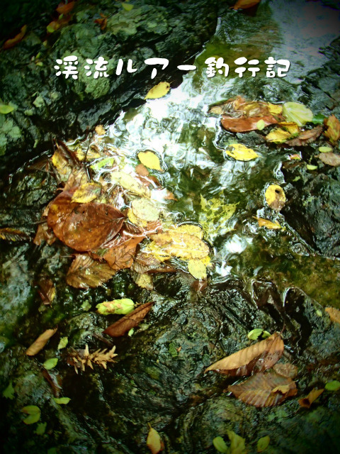 P9110005.jpg