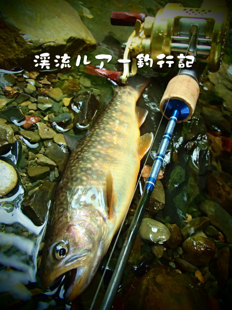 P9150004.jpg