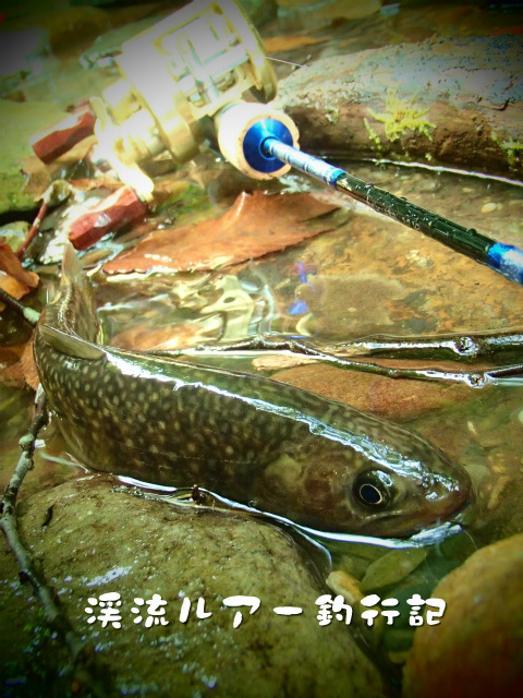 P9150005.jpg