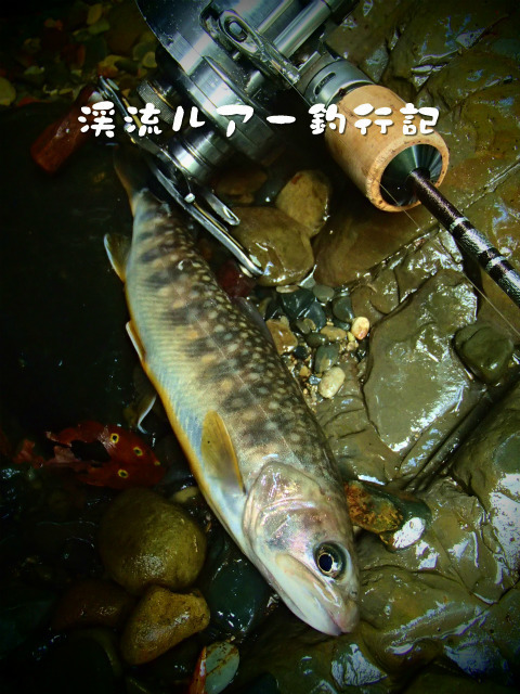 P9150008.jpg
