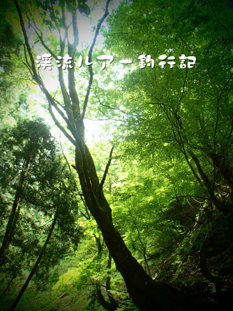 P9150013.jpg