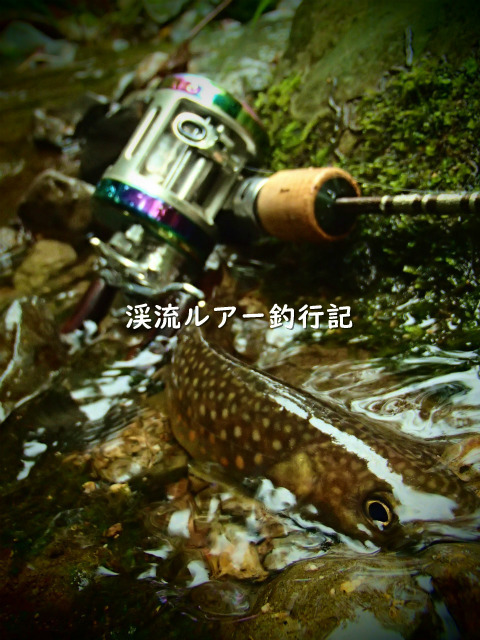 P9150020 (2).jpg