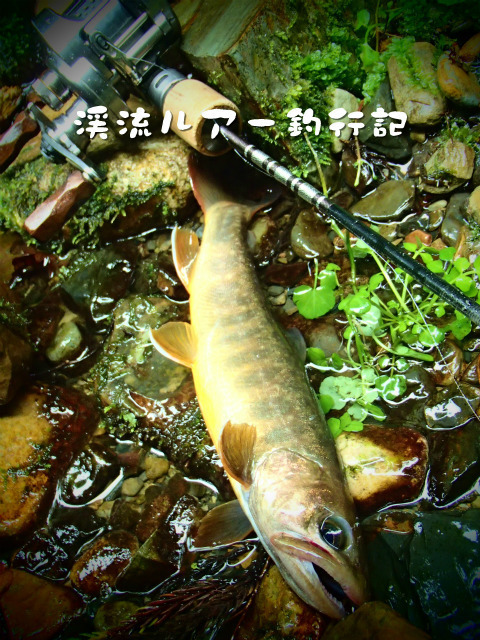 P9150028.jpg