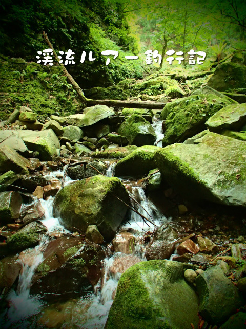 P9150033.jpg