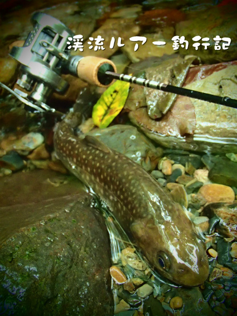 P9150042.jpg
