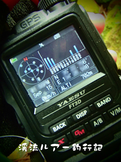 P9150044.jpg