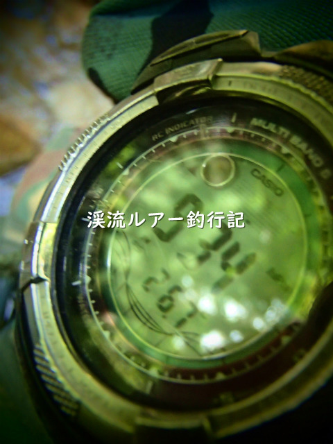 P9160004 (2).jpg