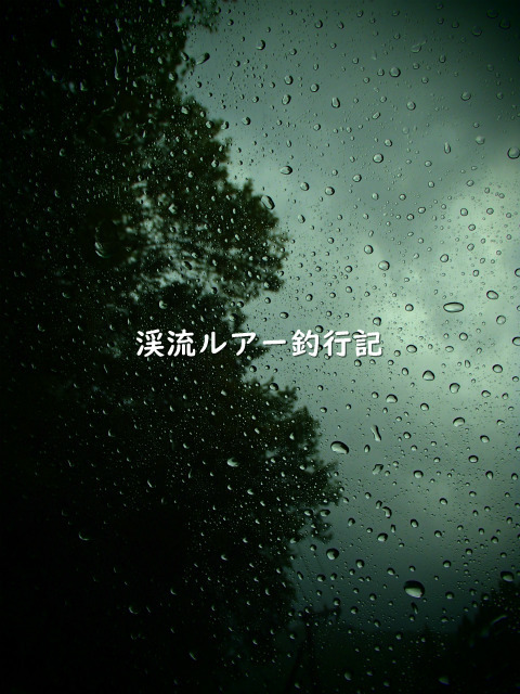 P9160033_01 (2).jpg