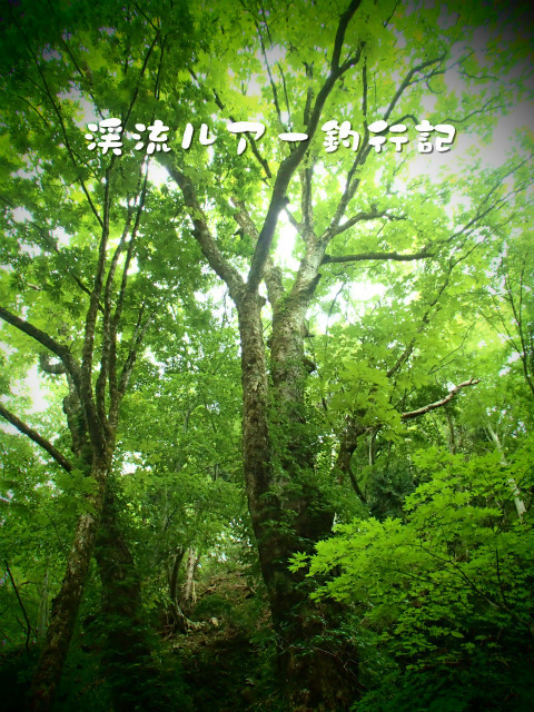 P9160062.jpg