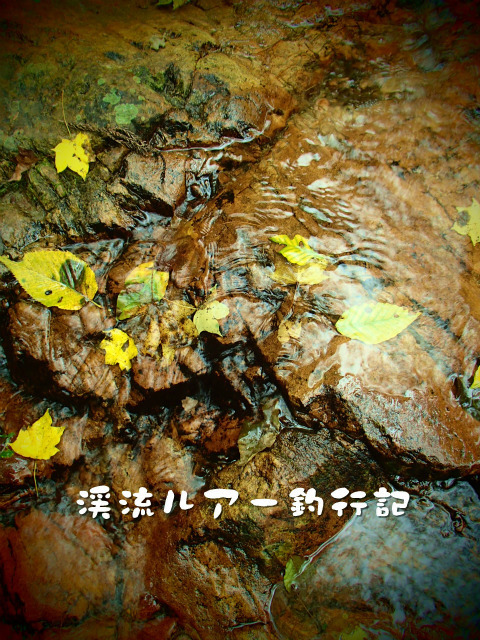 P9160063.jpg
