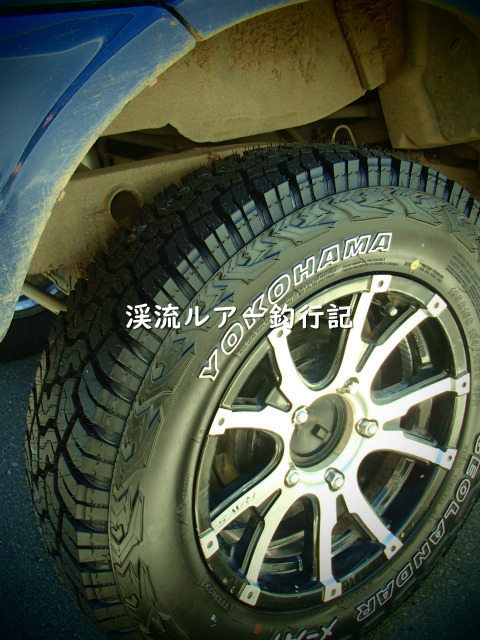 P9170004 (2).jpg