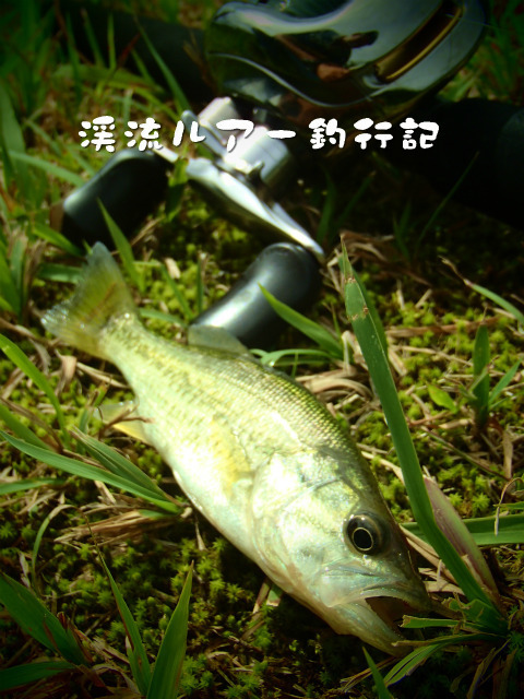 P9170032.jpg