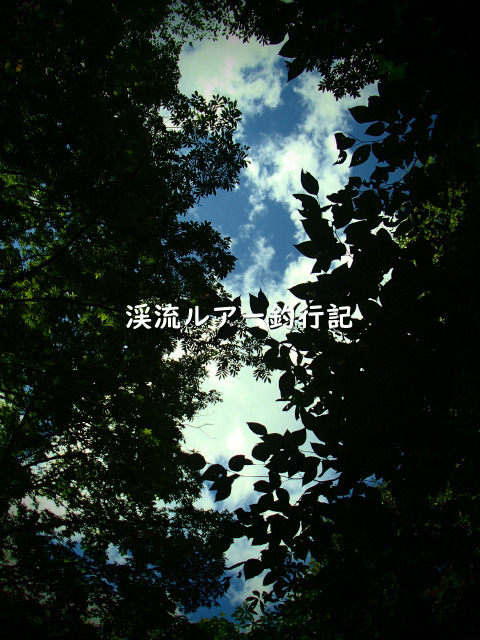 P9180005 (2).jpg