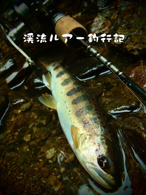 P9180006.jpg