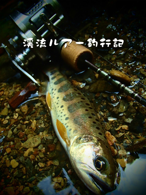 P9180015.jpg