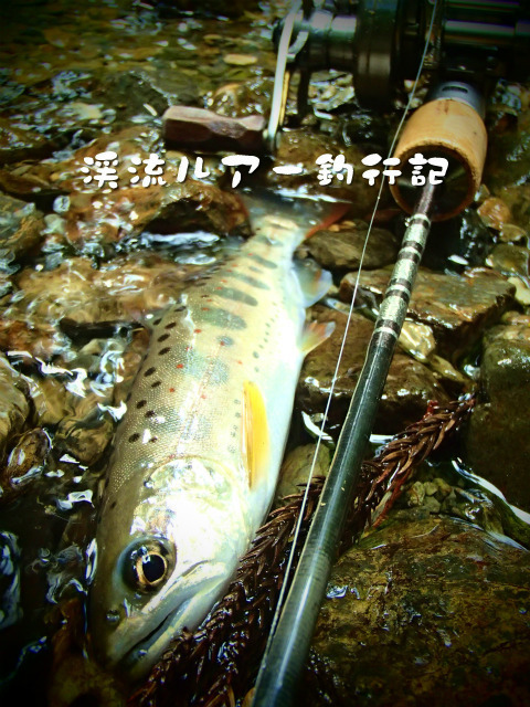 P9180031.jpg