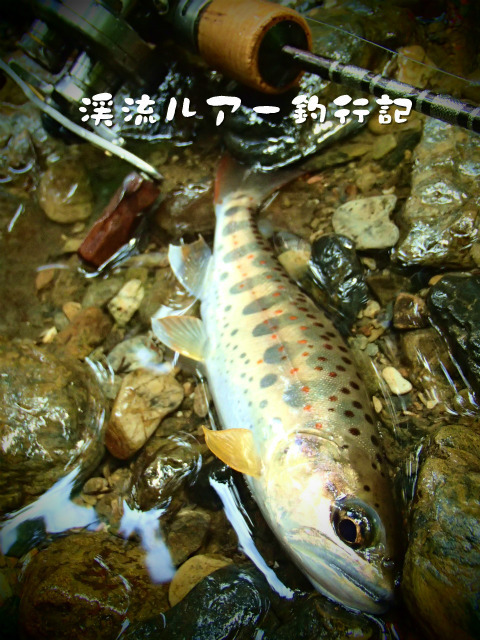 P9180034.jpg