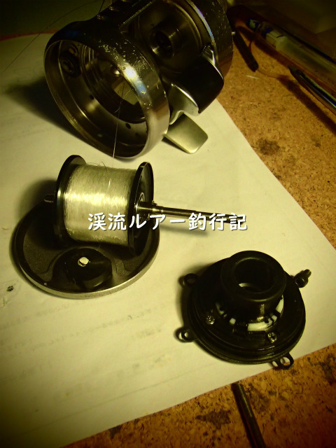 P9190005 (2).jpg
