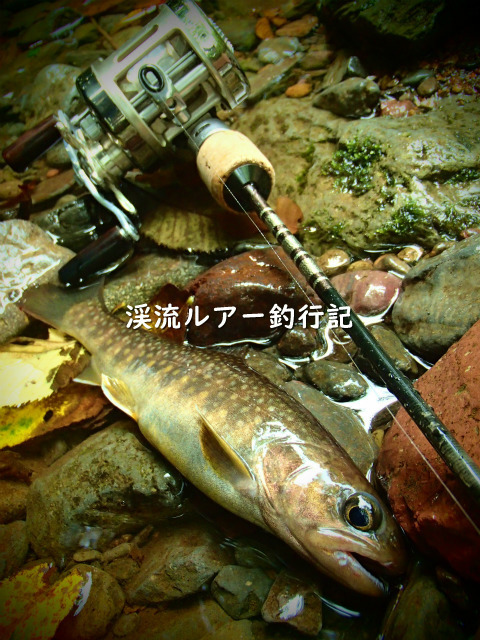 P9190009 (2).jpg
