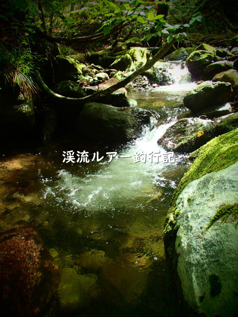 P9190013 (2).jpg