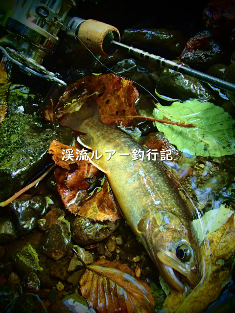 P9200041 (2).jpg