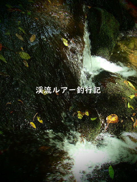 P9200053 (2).jpg