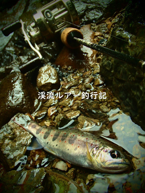 P9220025 (2).jpg