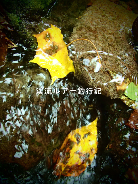 P9220033 (2).jpg