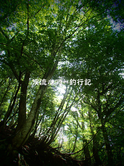 P9240004 (2).jpg