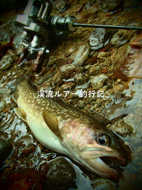 P9240050 (2).jpg
