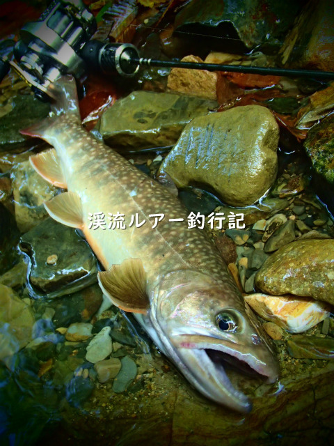 P9240062 (2).jpg