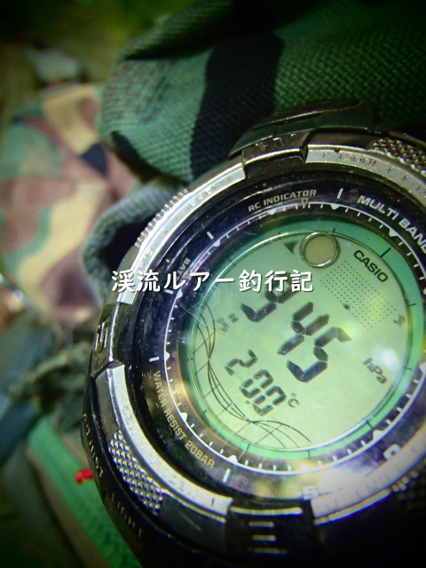 P9240068 (2).jpg