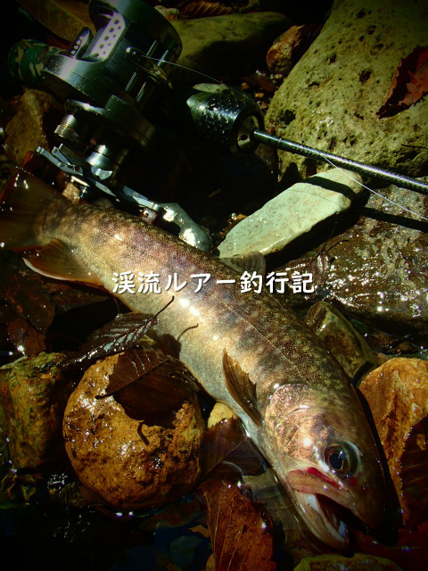 P9240070 (2).jpg