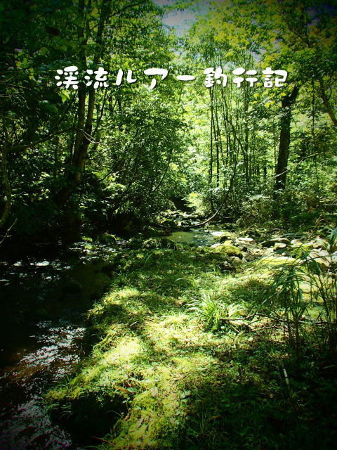 P9250002.jpg