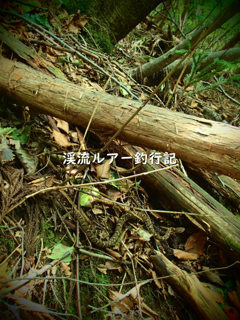 P9250003 (2).jpg