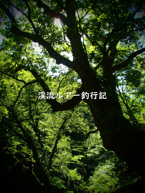 P9250005 (2).jpg