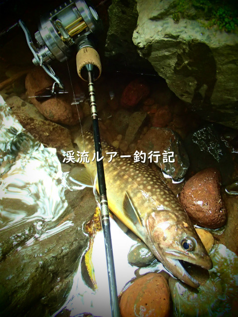 P9250007 (2).jpg
