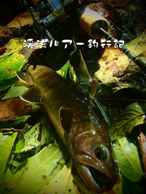 P9250020.jpg