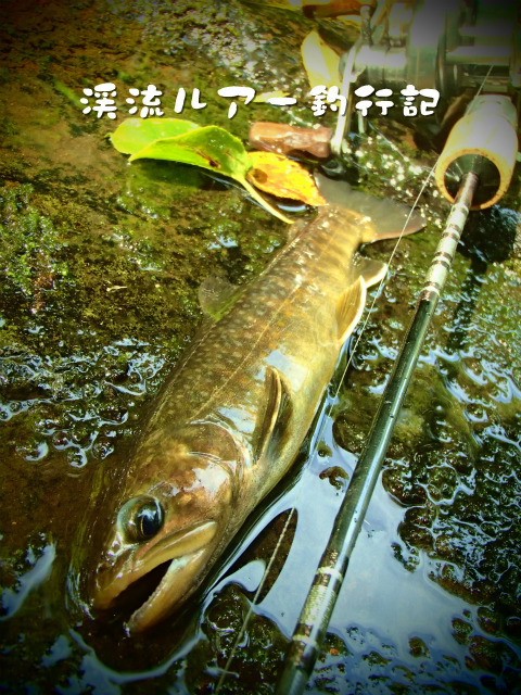 P9250028.jpg