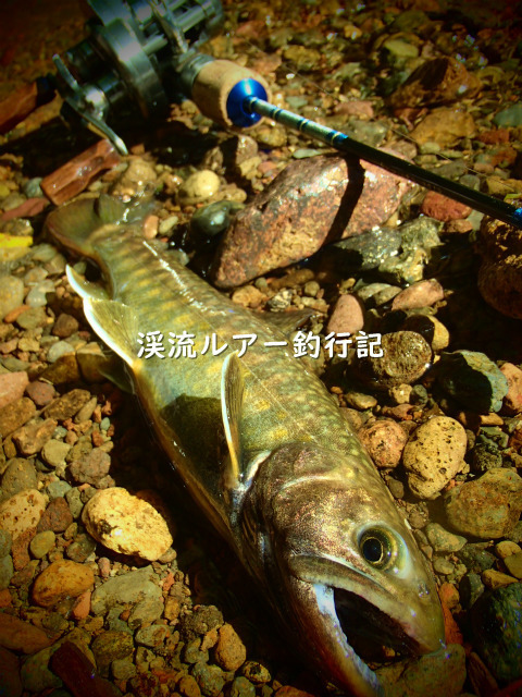 P9250041 (2).jpg
