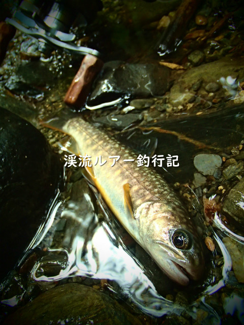 P9250058 (2).jpg
