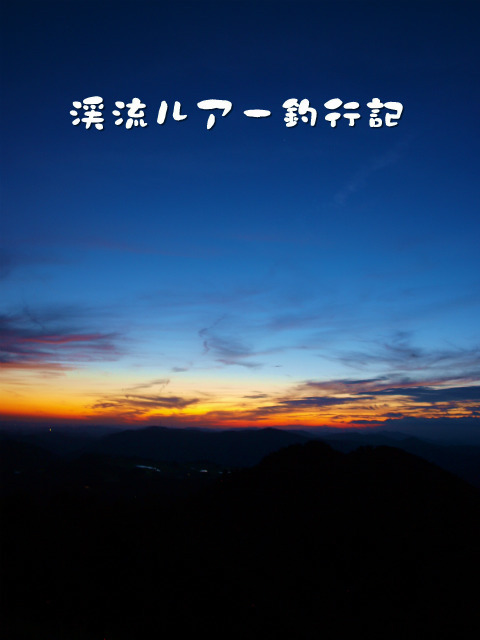 P9258052.jpg