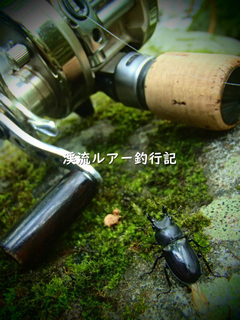 P9260007 (2).jpg