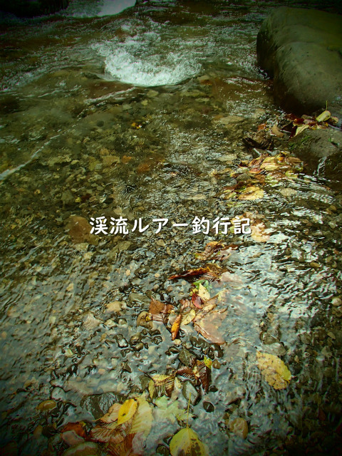 P9280007 (2).jpg