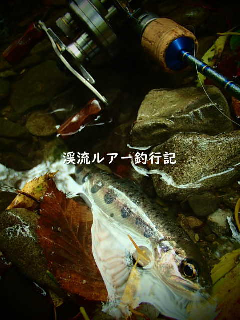 P9280009 (2).jpg