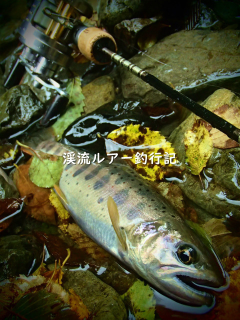 P9280016 (2).jpg