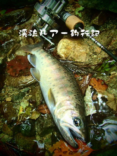 P9290023.jpg