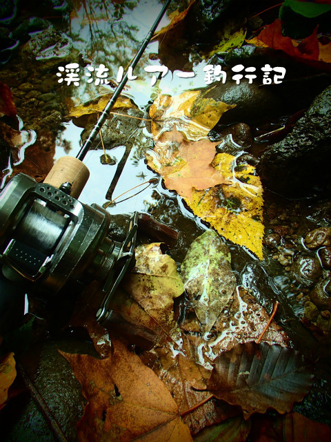 P9300002.jpg