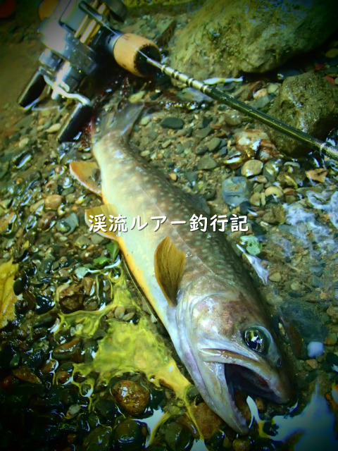 P9300025 (2).jpg